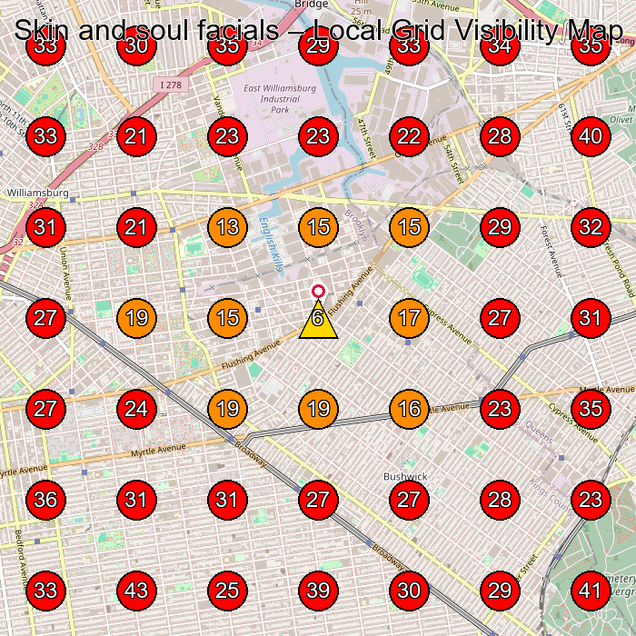 Skin and soul facials GeoGrid visibility map for Facial Spa in Brooklyn